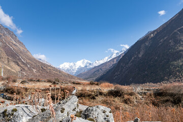 Nepal - Langtang Valley