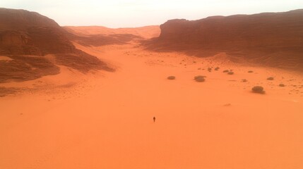 Lone Figure Trekking Across Vast Orange Desert Landscape
