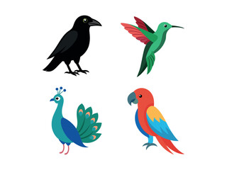 Bundle of Birds