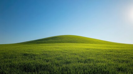 Fototapeta premium Rolling hills covered in lush green grass with misty mountains in the distance