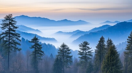Misty Blue Mountains at Dawn, Serene Forest View