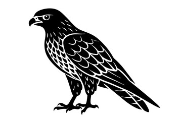 Red-tailed Hawk Bird Silhouette Vector Illustration