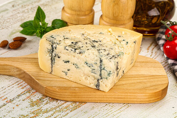 Gourmet blue cheese with mold