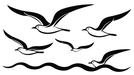 Seagulls Over the Ocean