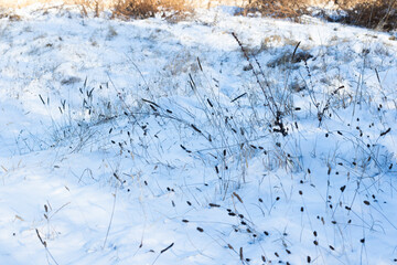 winter snow