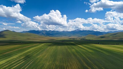 Obraz premium Aerial view of a cultivated field meeting mountains under a cloudy sky during a summer day