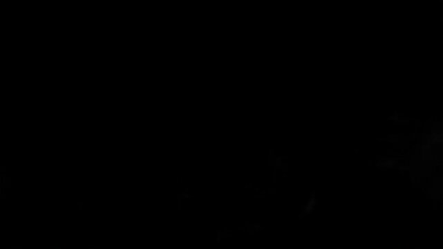 fog smokey white smoke tornado hurricane wind coming 3d real realistic render clouded cloudy effect overlay clouds adjustment layer slow motion black background filter animated animation