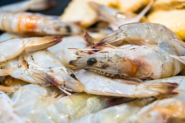 Close-Up of Fresh Raw Shrimp for Seafood Dishes - Highlighting Their Quality and Freshness