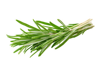 Fototapeta premium Fresh Rosemary Sprig Isolated On A White Background, PNG Transparent