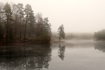 Fog over the lake