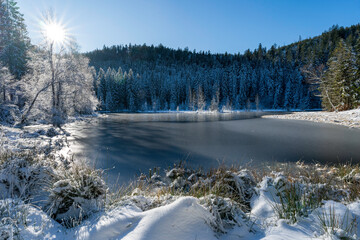 Buhlbachsee im Nationalpark Schwarzwald