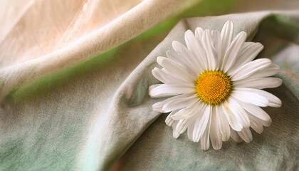 A single daisy with vibrant white petals and a cheerful yellow center lies on a neutral linen cloth. The delicate arrangement evokes feelings of spring and the beauty of nature's simplicity