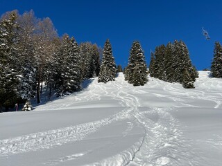 Wonderful winter hiking trails and traces in the fresh alpine snow cover of the Swiss Alps and over the tourist resort of Davos - Canton of Grisons, Switzerland (Kanton Graubünden, Schweiz)