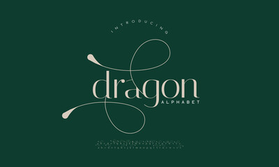 Luxury font alphabet logo. Typography Beauty minimal modern fashion classic letter serif fonts decorative wedding vintage retro logos. vector illustration