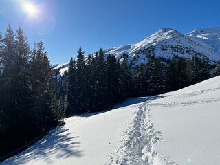 Wonderful winter hiking trails and traces in the fresh alpine snow cover of the Swiss Alps and over the tourist resort of Davos - Canton of Grisons, Switzerland (Kanton Graub&uuml;nden, Schweiz)