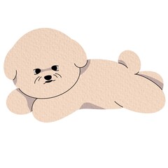 Bichon Frise puppy lying. Lovely companion pet, little baby dog. Adorable miniature pup. Flat vector illustration isolated on white background