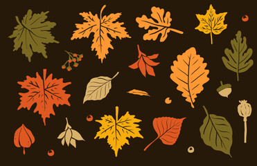 Obraz premium Autumn Leaves Clip Art for Fall Background, maple leaf, dry leaf, autumn trees, isolated leaves, flower vector, autumn leaves icon, or leaf logo in svg vector 