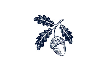 acorn with stems line art vector illustration on white background