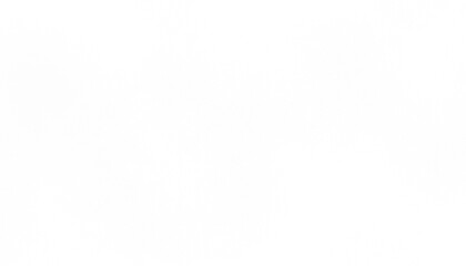 Transparent distressed white grainy texture with dust overlay textured. Grainy noise white particles and snow effect on a transparent background.