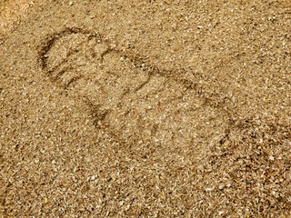 Close up of a boot print in sawdust created by cutting logs
