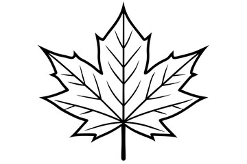maple leaf black line art vector, Simple Design vector icon with white background. 