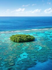 Fototapeta premium Aerial view of a small tropical island surrounded by vibrant coral reef and turquoise ocean.