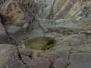 part of the cliff on the seashore, close-up