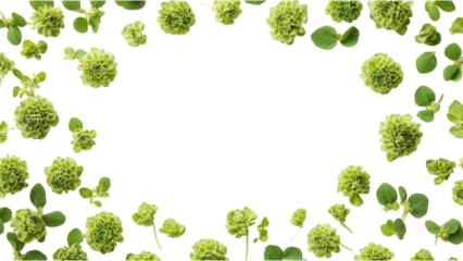 Green Floral Square Frame on White Background, vibrant clusters of green flowers create a striking geometric design, perfect for decor or display