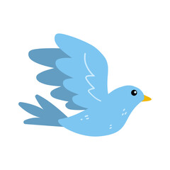 Blue beautiful bird flight