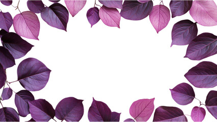 Purple Leaf Cluster Frame, square arrangement of vibrant purple leaves on a clean white background, showcasing natural elegance and creativity