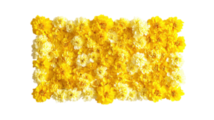Yellow Flower Cluster Frame, vibrant yellow blooms intricately arranged in a square pattern against a clean white backdrop, perfect for decor.