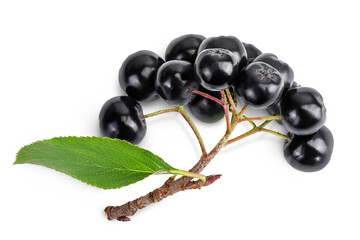 Chokeberry with leaf isolated on white background. Black aronia. Top view. Flat lay
