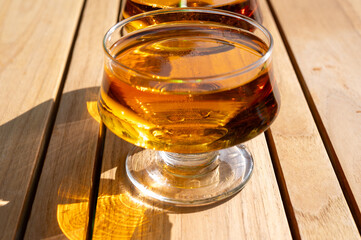 Tasting of french apple cider brut in glass made from new harvest apples outdoor in sunny orchard