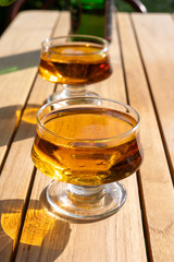 Tasting of french apple cider brut in glass made from new harvest apples outdoor in sunny orchard