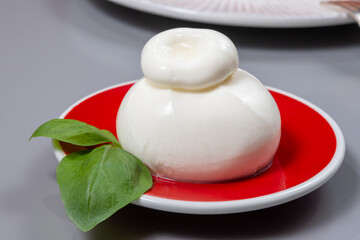 Cheese collection, fresh soft white burrata cheese ball made from mozzarella and cream from Apulia, Italy, close up