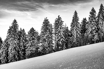 Winterlandschaft