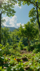 Fototapeta premium Environmental protection concept. The attractive beauty of nature according to the neural network. Preserving nature for future generations, with white tones