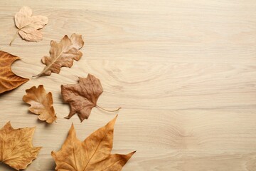 Various autumn leaves on wooden background