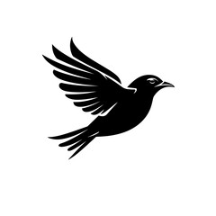 Graceful Feathered Emblem Minimalist Falcon Icon.Raptor Regalia Wisdom of the Swan.A black bird flying in the air on a white background Pro Vector.Minimalist Flying Bird Outline Image Pro Vector.