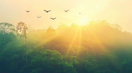 Birds Soaring Over Lush Jungle Canopy at Sunrise