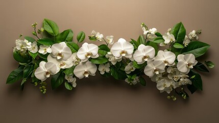 White orchids and green accents on taupe background with natural light
