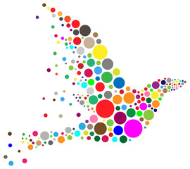 Colorful Circle Bird