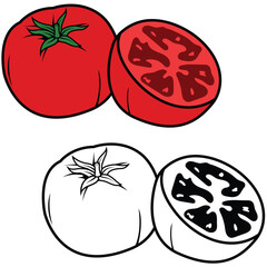 Set of tomato vector illustration. Tomato clipart