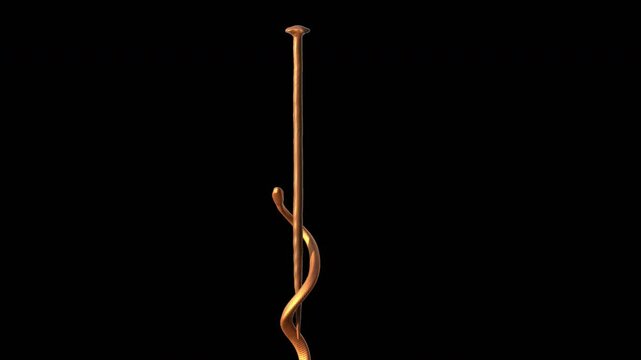 Symbol of Medicine Snake and Staff of Asclepius 3d Animation on Transparent Background No Background Alpha Channel.