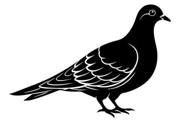 Mourning Dove Silhouette Vector Illustration