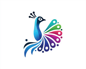Colorful Peacock bird logo design icon vector illustration. Animal bird template.