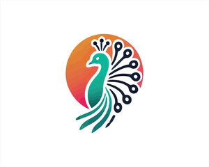 Colorful Peacock bird logo design icon vector illustration. Animal bird template.