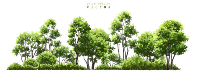  Vector watercolor green  tree or forest side view isolated on white background for landscape and architecture drawing,elements for environment or and garden,Shrub for section