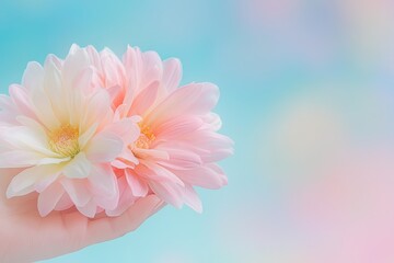 Fototapeta premium Delicate Hand Cradles Vibrant Flower Crown Against a Soft Pastel Backdrop in Tranquil Setting