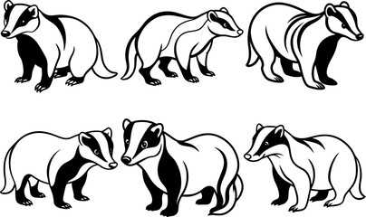 Set of Stylized Black Silhouette and line art of a Badger - Vector Icon Illustration